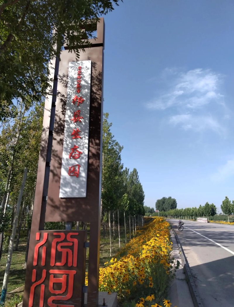 散打高手是如何炼成的？